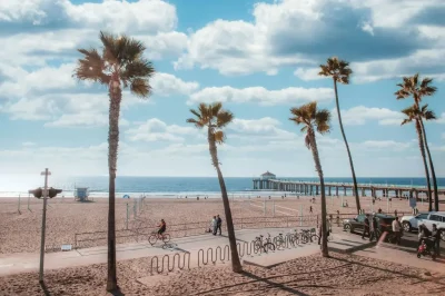 Palm trees swinging in the wind in front of the Manhattan Beach Pier